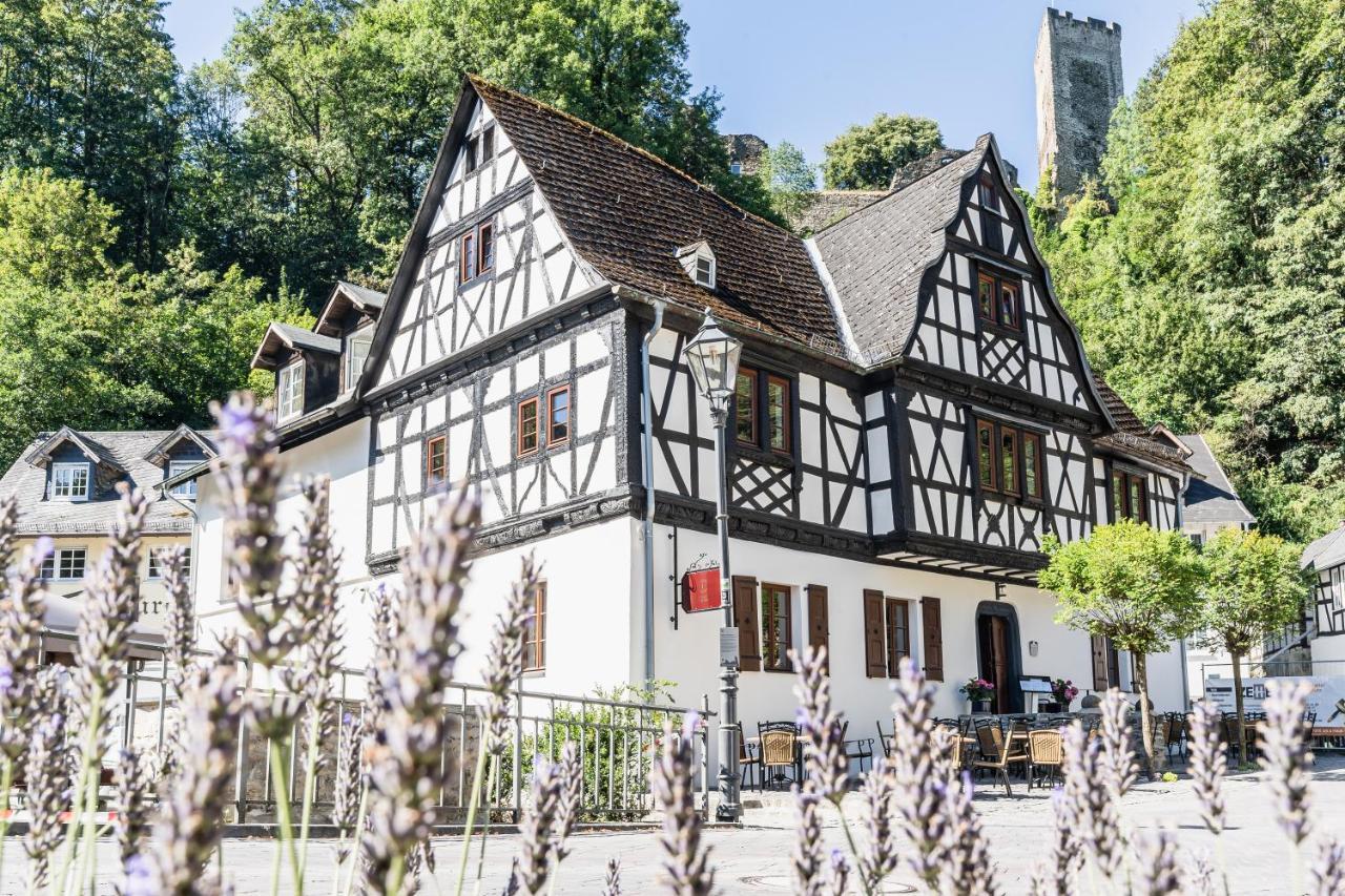 Landgasthof Zur Burg Grenzau Höhr-Grenzhausen Eksteriør billede